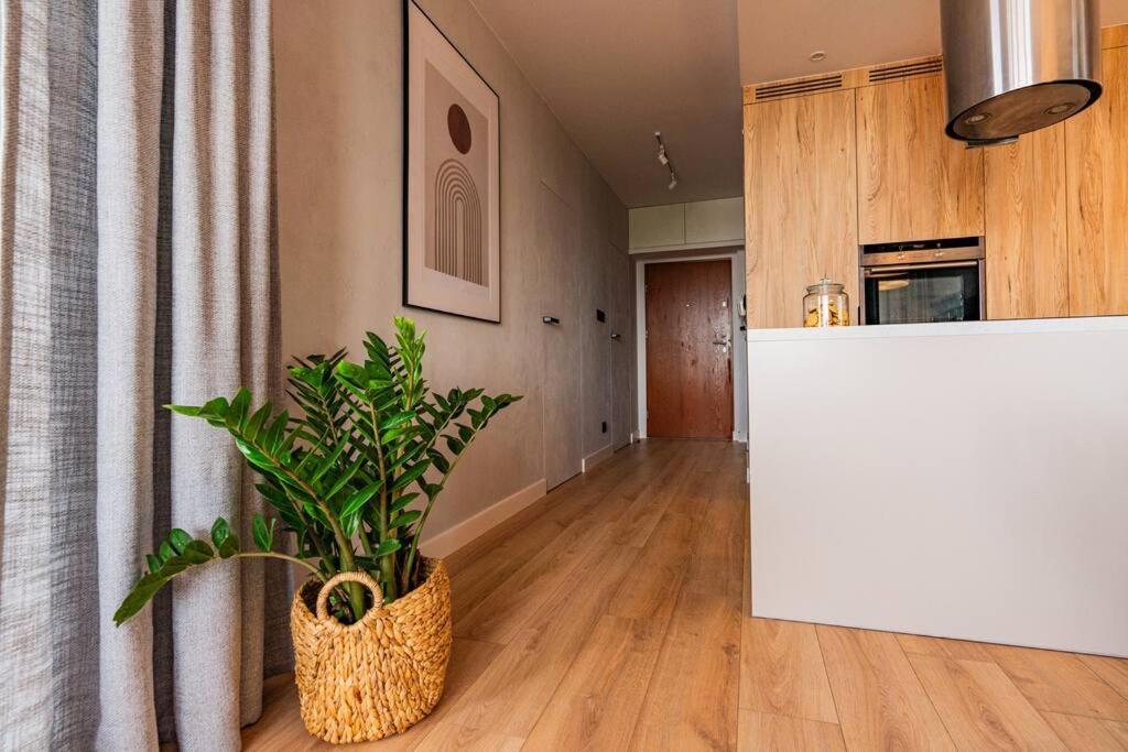 Apartament Na Grabiszynskiej ヴロツワフ エクステリア 写真