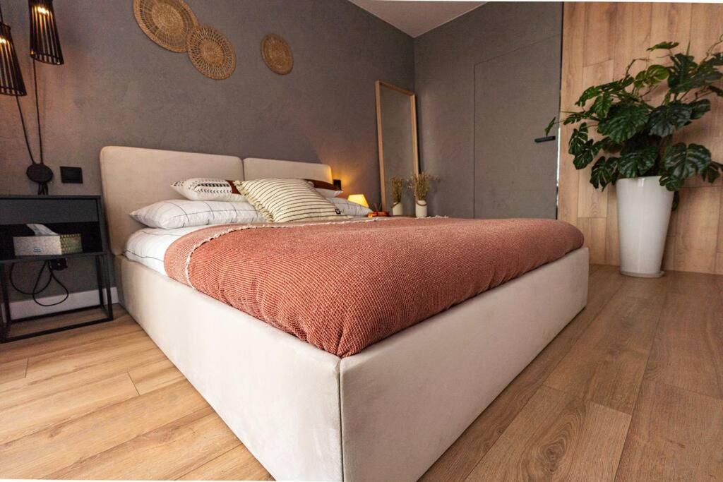 Apartament Na Grabiszynskiej ヴロツワフ エクステリア 写真
